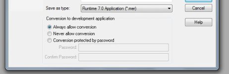 Runtime Application type.JPG